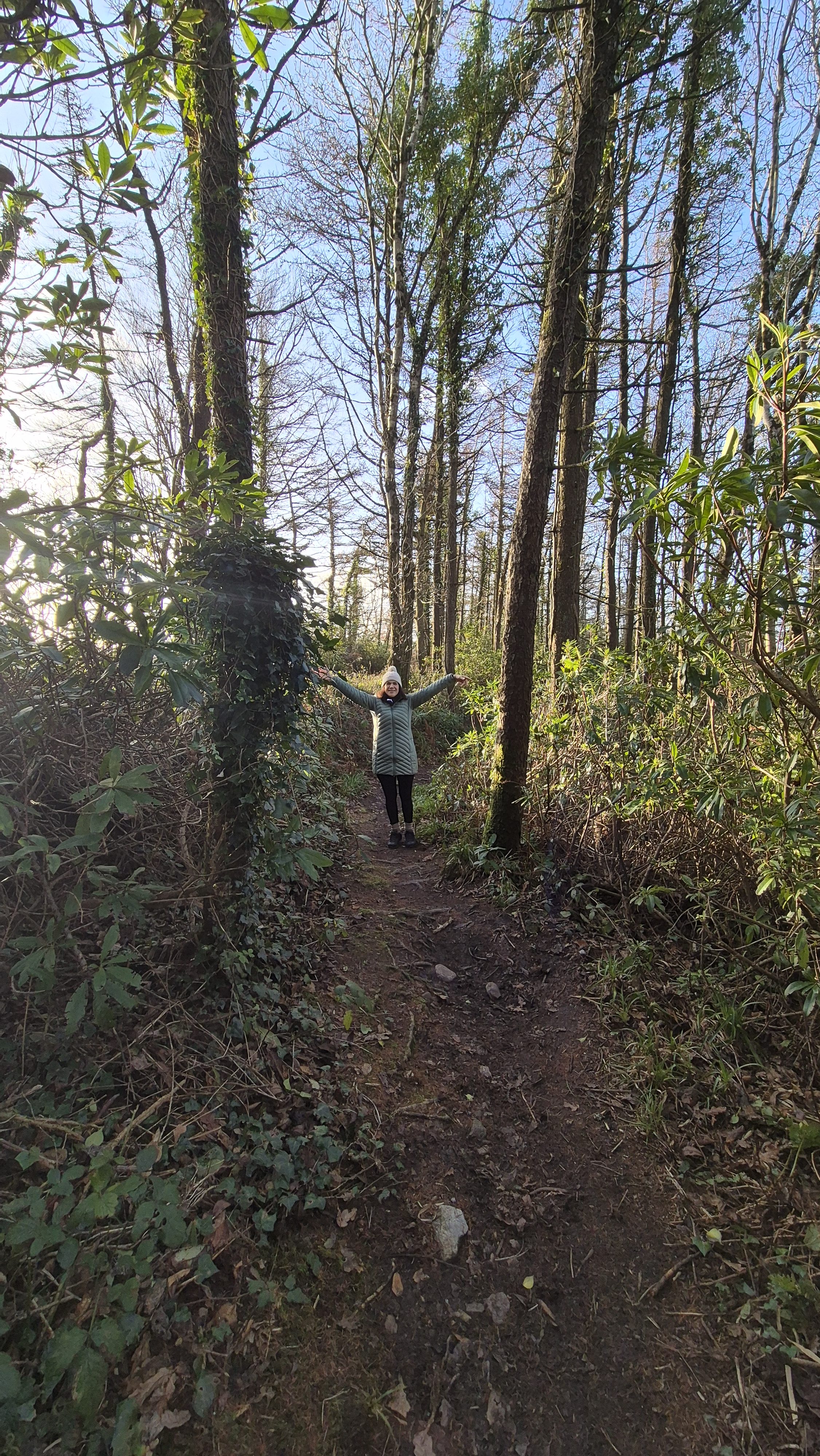 Person experiencing nervous system regulation in peaceful forest environment